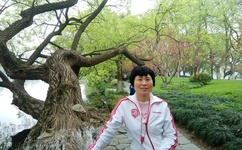 孙静雅百度影音